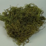 Curly moos verde deschis 0,7kg