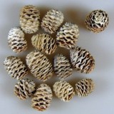 Sabulosum 2.7kg vopsit alb