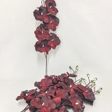 Fir orhidee 80cm S/6 bordeaux
