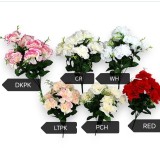 Buchet garoafe x9 crem