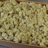 Izlandi zuzmó 5kg natúr