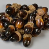 Betűző makk 2,5cm barna/sárga