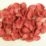 Kagyló 0,5kg Chippi-Szívkagyló 3-5cm kicsi piros
