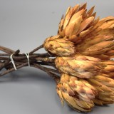 Protea sárga III. oszt. natúr