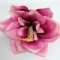 Cap amarilis s/12 16cm ciclam