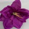 Cap amarilis s/12 16cm mov