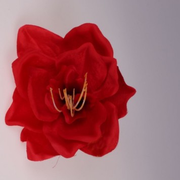 Cap amarilis s/12 16cm rosu