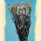 Ammobium alb