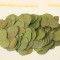 Frunze moneta verde muschi