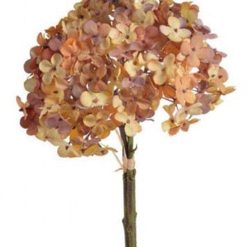 Fir hortensia x3 35cm maro