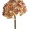 Fir hortensia x3 35cm maro