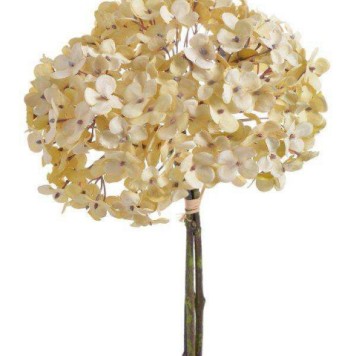 Fir hortensia x3 35cm crem