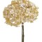 Fir hortensia x3 35cm crem