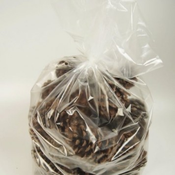 Conuri pinus maritima natur 1kg