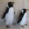 Pinguin catifea 60 cm