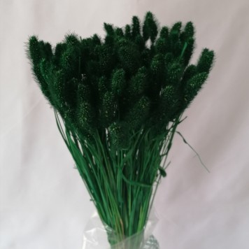 Mohor verde inchis