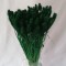Mohor verde inchis