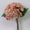 Fir hortensia x3 33cm piersica