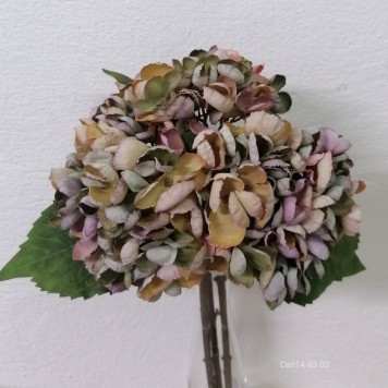 Fir hortensia x3 33cm verde