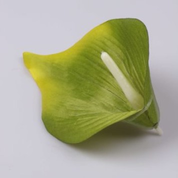 Cap cale 16cm s/24 verde