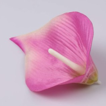Cap cale 16cm s/24 mov