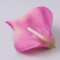 Cap cale 16cm s/24 mov