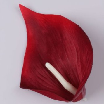 Cap cale 16cm s/24 rosu
