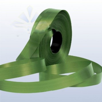 Banda decor 2cmx100m verde muschi