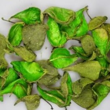Tutun salbatic verde deschis