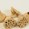 Lotus mic 4-6cm vopsit piersica