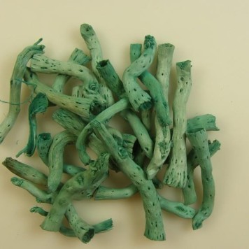 Topy inalbit aqua