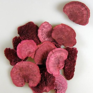 Iasca rosu