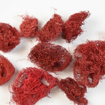 Felii de luffa 1,5cm rosu
