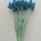 Tallaris albastru deschis