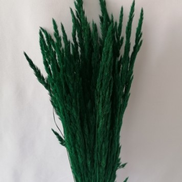 Iarba verde inchis