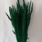 Iarba verde inchis