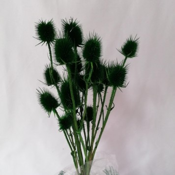 Ciulin verde inchis