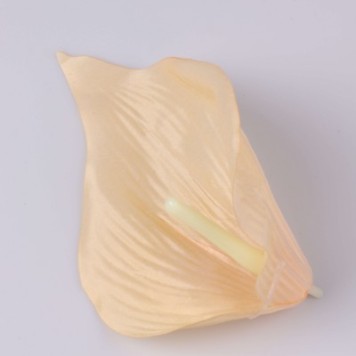 Cap cale 16cm s/24 piersica