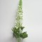 Fir lupina 120cm alb