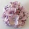 Capete hortensie 15cm mov