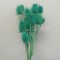 Ciulin albastru deschis
