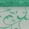 Organza sul catifea 23.5cmx5m verde menta