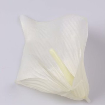 Cap cale 16cm s/24 crem