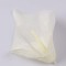 Cap cale 16cm s/24 crem