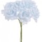 Buchet trandafiri polifoam x6 aqua