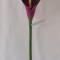 Fir cale extra 70cm bordeaux