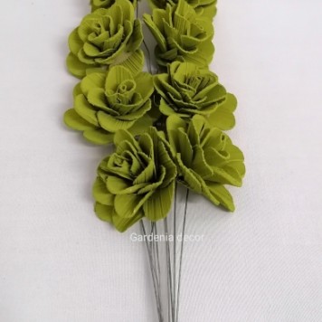 Flori acacia 6cm vopsit oliv