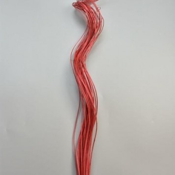 Creanga salcie ting ting 100cm rosu