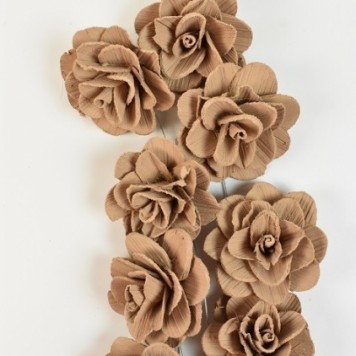 Flori acacia 6cm vopsit cappuccino