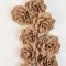 Flori acacia 6cm vopsit cappuccino